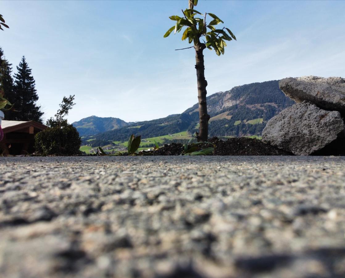 Resort Hanni Deisenberger Fieberbrunn Buitenkant foto